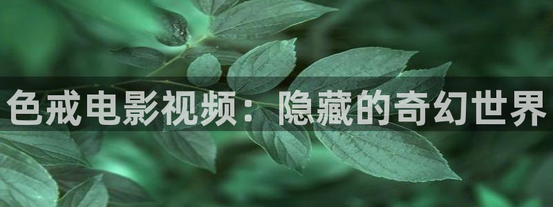 麻花视频在线看