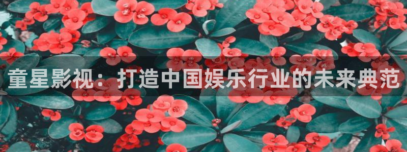 麻花视频免费