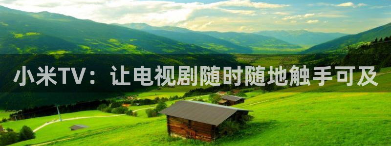 麻花视频最新版
