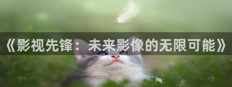 麻花视频做法视频