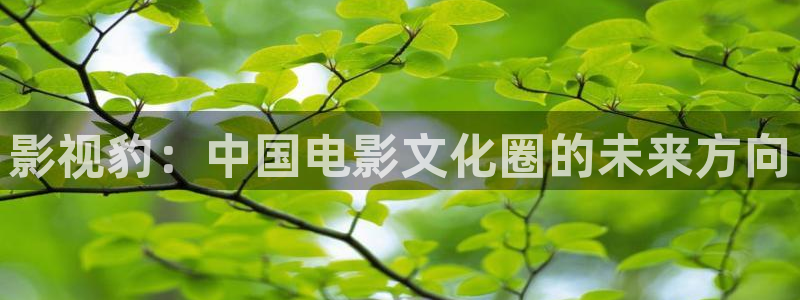 麻花视频免费观看电视剧